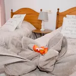 Apartman Playas